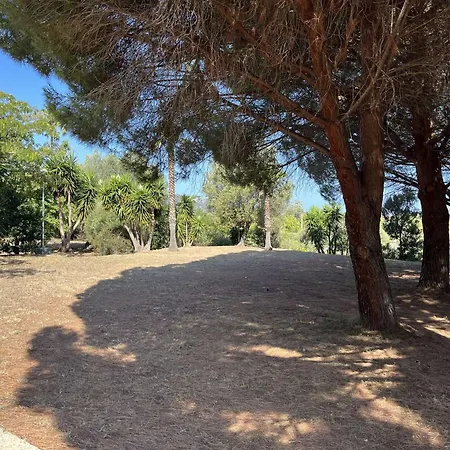 Apartmán Climatise Avec Piscine A Saint-florent, Proche - Fr-1-650-42 *