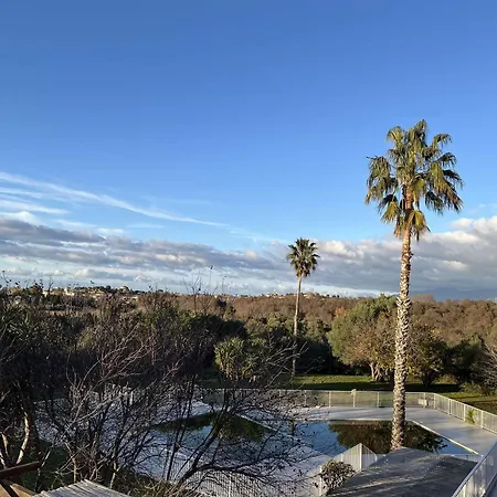 Climatise Avec Piscine A Saint-florent, Proche - Fr-1-650-42 Apartmán *